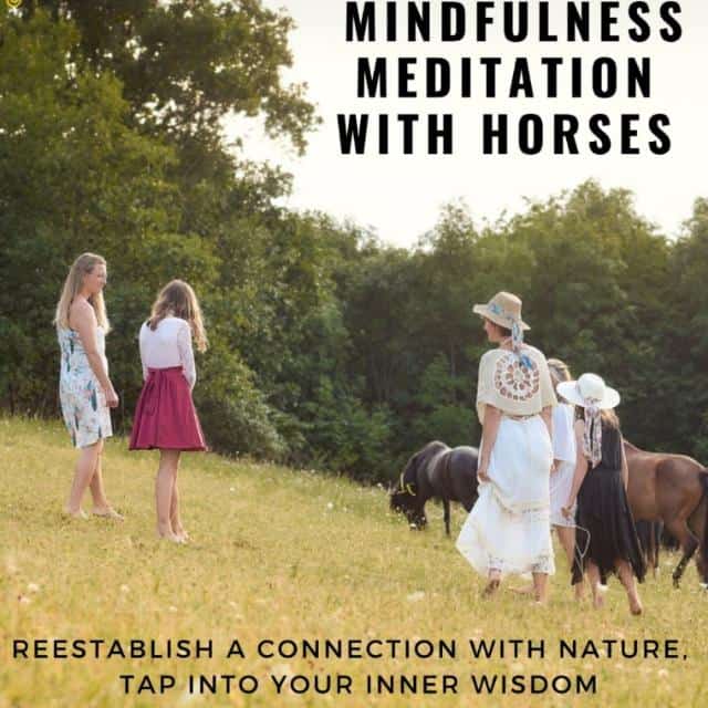 Mindfulness With Horses Corazon Koně Nás Učí